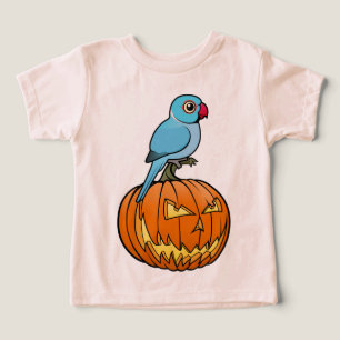 Blue Indian Ringneck on Pumpkin Halloween