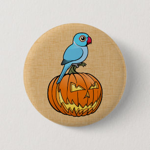 Blue Indian Ringneck on Pumpkin Halloween 6 Cm Round Badge