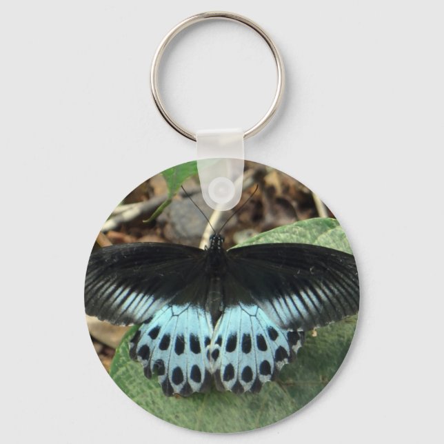 Blue Iridescent Mormon Butterfly Key Ring (Front)