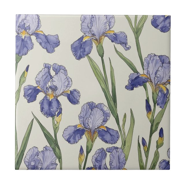 Blue Iris Blossoms Tile (Front)