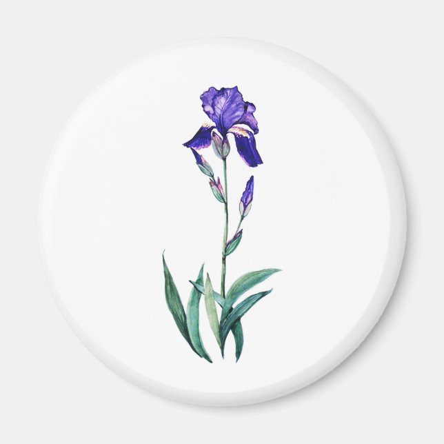 Blue Iris by PMACarlson Magnet (Front)
