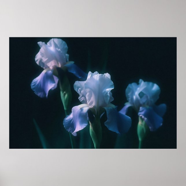 Blue Iris Floral Wall Art Poster (Front)