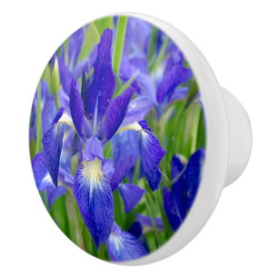 Blue Iris Flower Knob