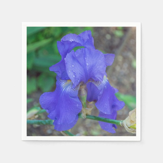 Blue iris flower napkin (Front)