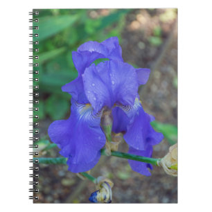 Blue iris flower notebook