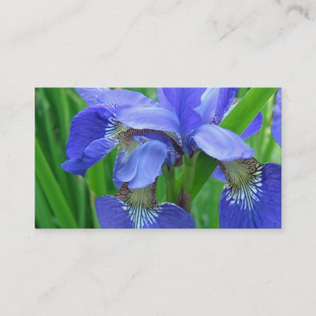 blue iris flowers business card (Front)