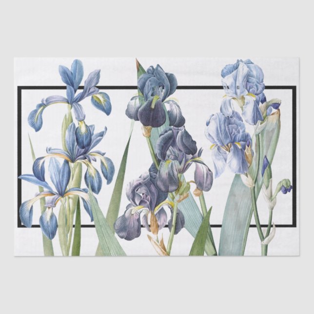 Blue Iris Flowers Redoute Floral Tissue Paper (Front)