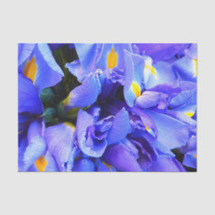Blue Iris flowers Tissue Paper