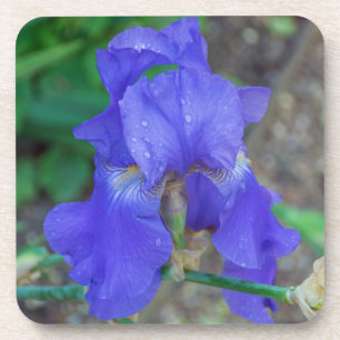 Blue iris hard plastic coasters