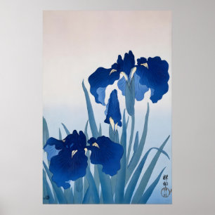 Blue Iris Japanese Fine Art Print  Floral Wall
