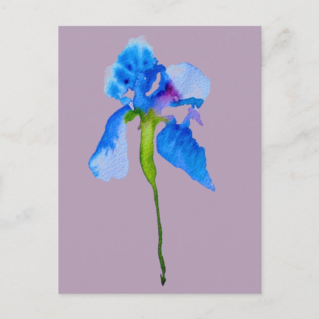 Blue Iris modern floral watercolour art Postcard (Front)