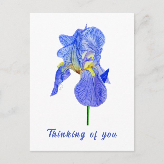 Blue Iris Thinking of You Postcard (Front)