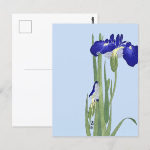 Blue Irises by Ohara Koson Postcard