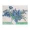 Blue Irises by Vincent Van Gogh Fine Art