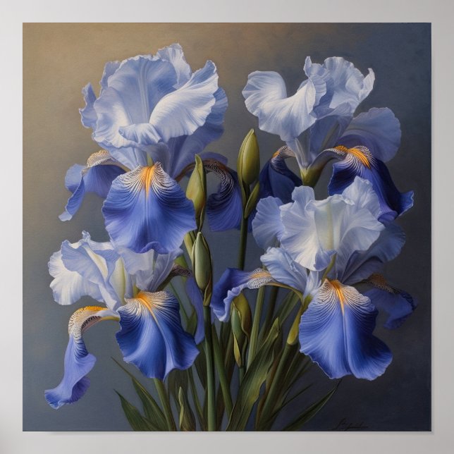 Blue Irises Flower Art Print Poster (Front)