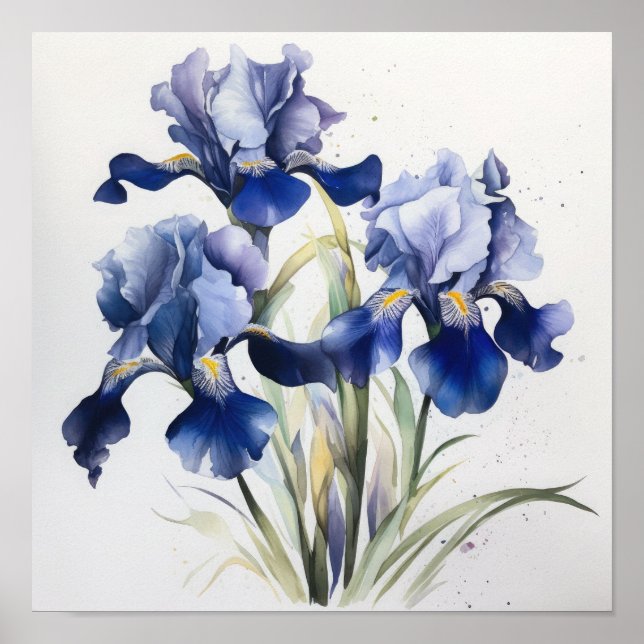 Blue Irises Flower Art Print Poster (Front)