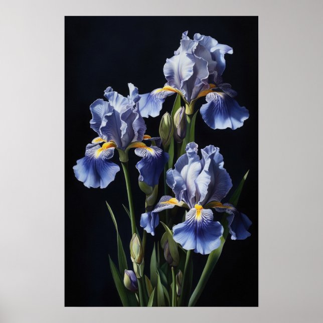 Blue Irises Flower Art Print Poster (Front)