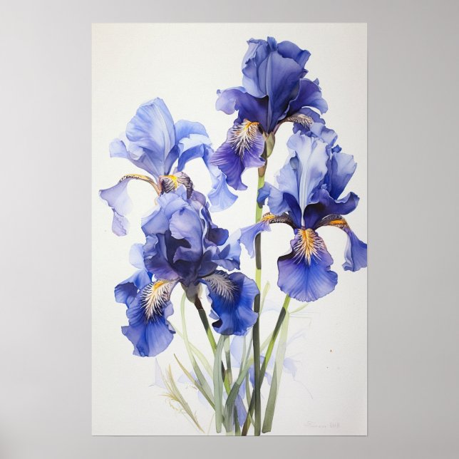 Blue Irises Flower Art Print Poster (Front)