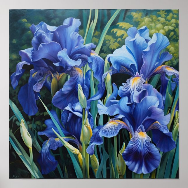 Blue Irises Flower Art Print Poster (Front)