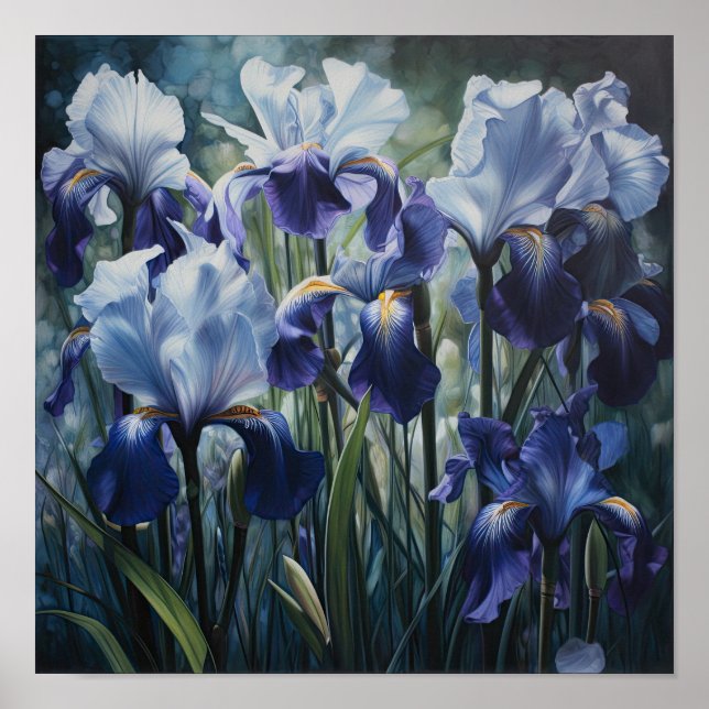 Blue Irises Flower Art Print Poster (Front)