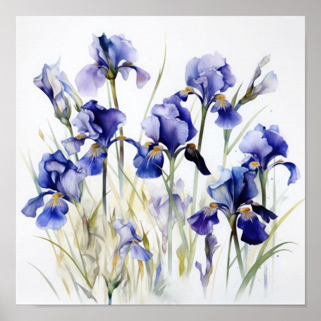 Blue Irises Flower Art Print Poster (Front)