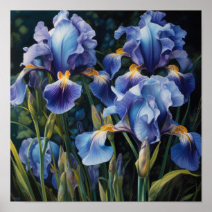 Blue Irises Flower Art Print Poster