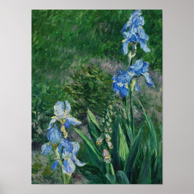 Blue Irises, Garden at Petit Gennevilliers, 1892 Poster (Front)