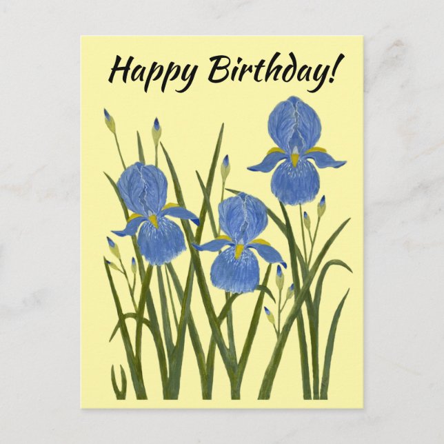 Blue Irises Yellow Postcard (Front)