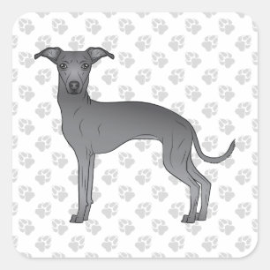 Blue Italian Greyhound Cute Cartoon Dog With Paws Square Sticker