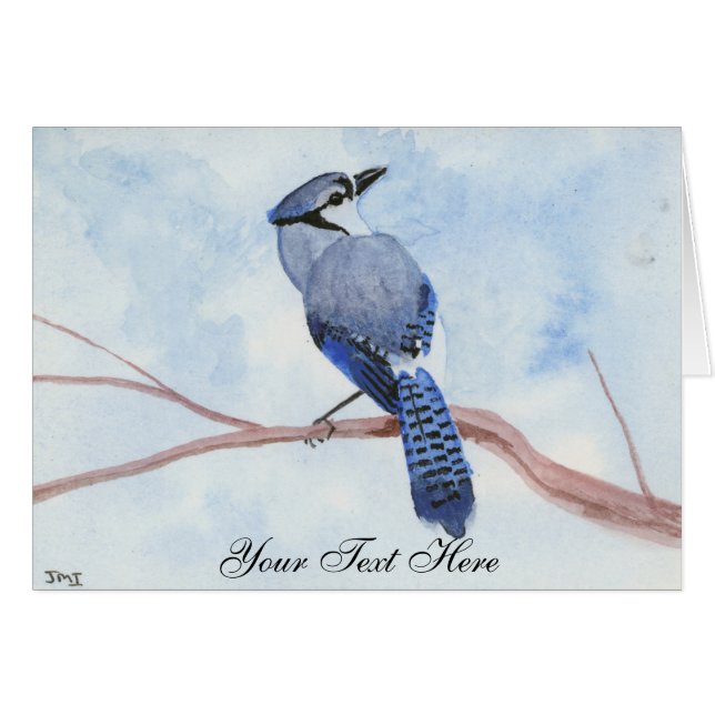 Blue Jay (Front Horizontal)