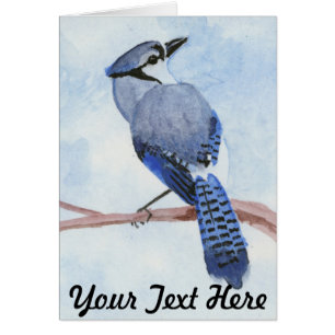 Blue Jay