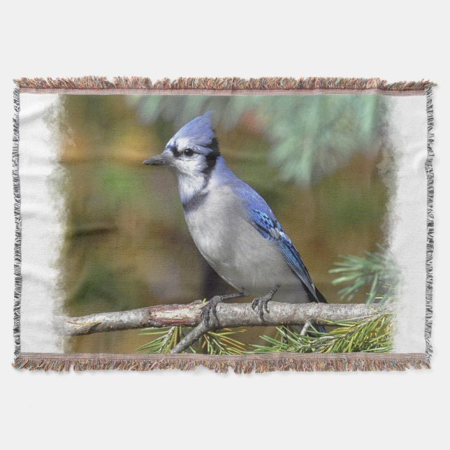 Blue Jay 1 Throw Blanket (Front)