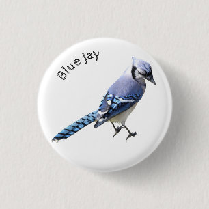 Blue Jay 3 Cm Round Badge