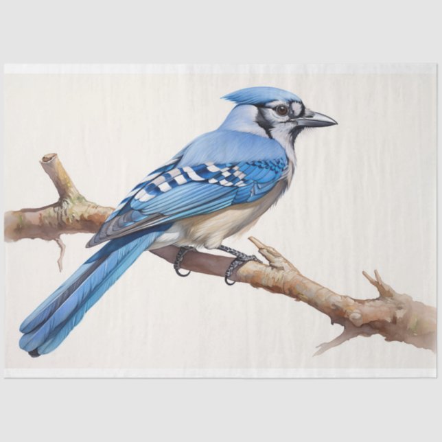 Blue Jay 3 Decoupage Paper (Front)