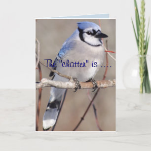 Blue Jay 8883- customise any occasion Card