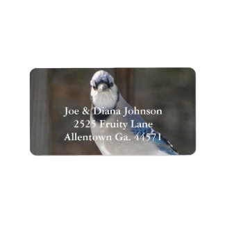 Blue Jay Address Label