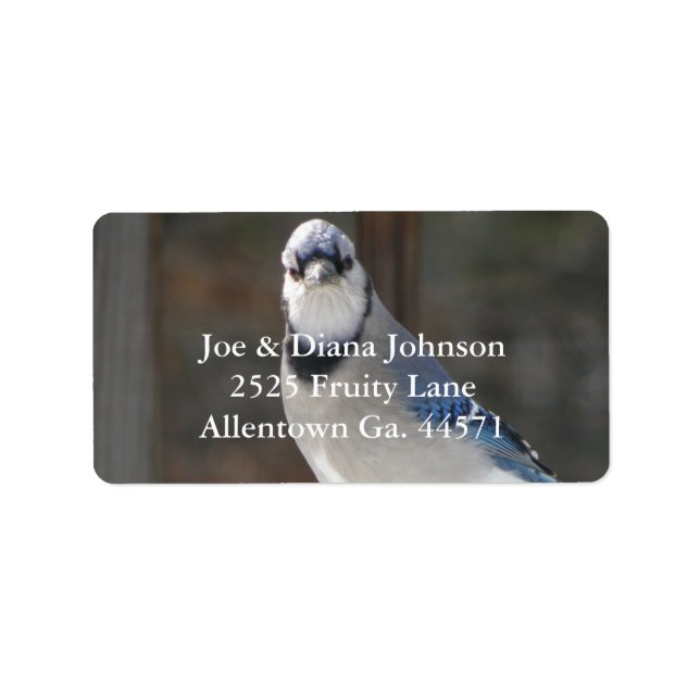 Blue Jay Address Label (Front)