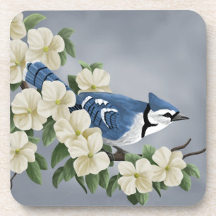 Blue Jay Among Flowers Coaster