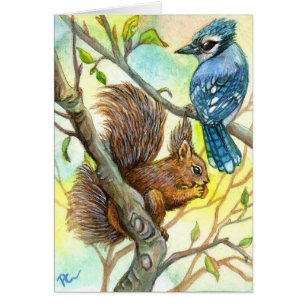 Blue Jay And Squirrel