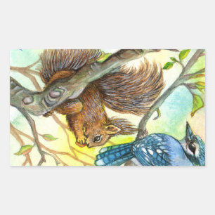 Blue Jay And Squirrel Rectangular Sticker