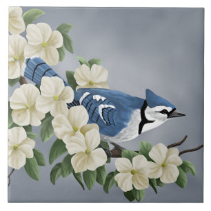 Blue Jay Art Tile