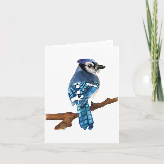 Blue Jay bird blank Folded Greeting Card (Front)