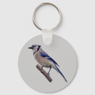Blue Jay Bird Key Ring