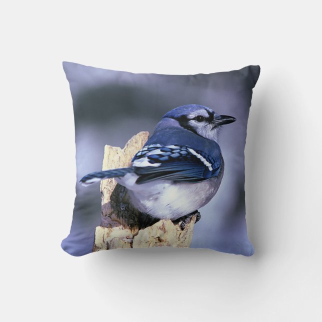 Blue Jay Bird Lovers Cushion (Front)