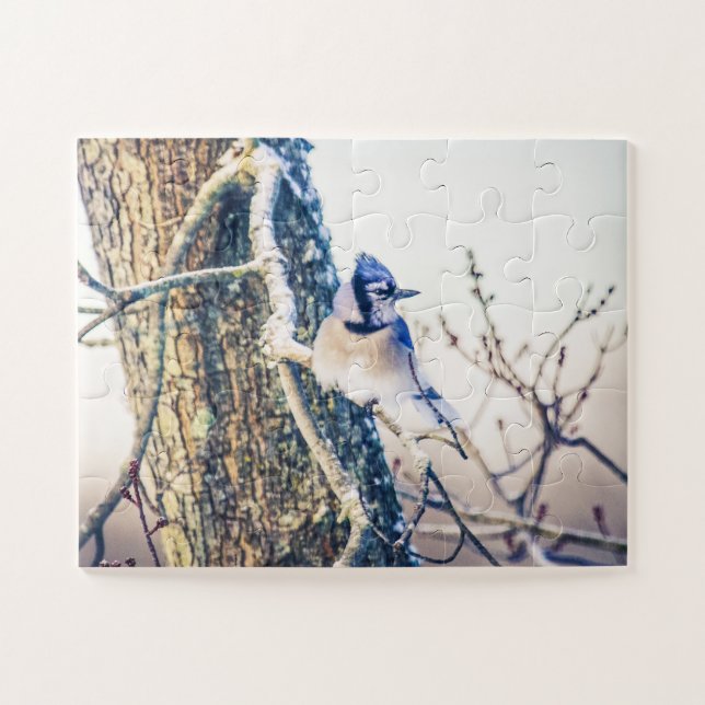 Blue Jay Bird Oversized Jigsaw Puzzle (Horizontal)