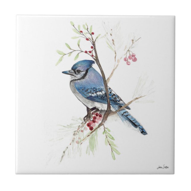 Blue Jay Bird Watercolor Ceramic Tile (Front)