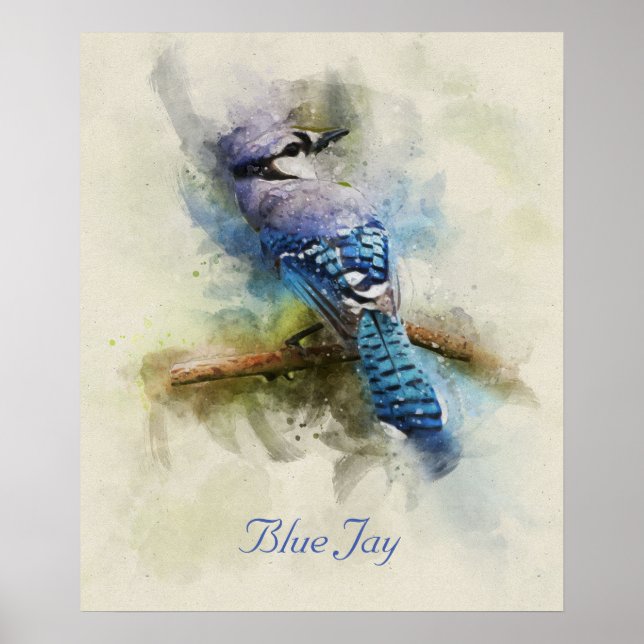 Blue Jay bird watercolor illustration Poster (Front)
