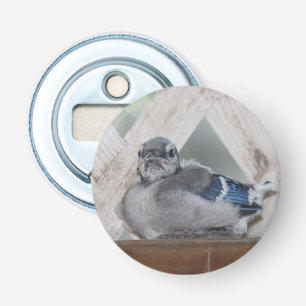 Blue Jay Bottle Opener