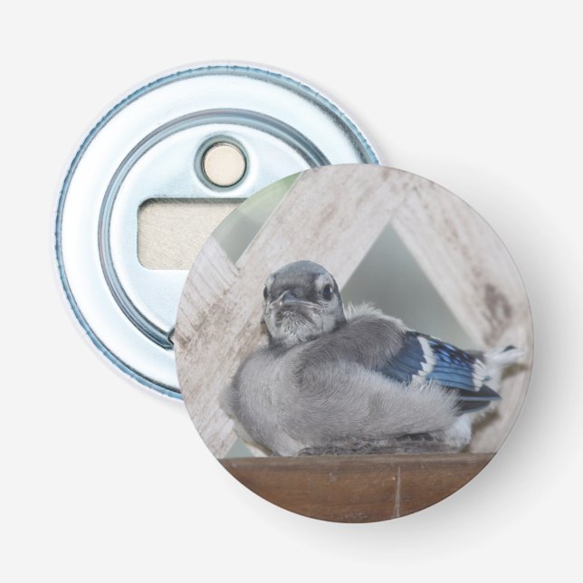 Blue Jay Bottle Opener (Front)