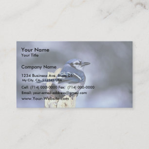Blue jay business card